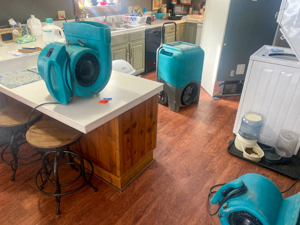 Best Local water damage restoration  in Edwardsvle, IL