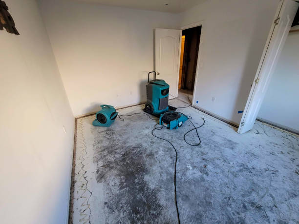 Best Basement water damage restoration  in Edwardsvle, IL