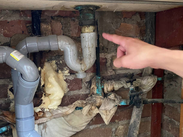 Best Professional water damage repair  in Edwardsvle, IL