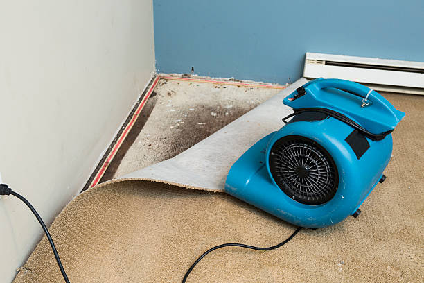 Best Residential water damage restoration  in Edwardsvle, IL